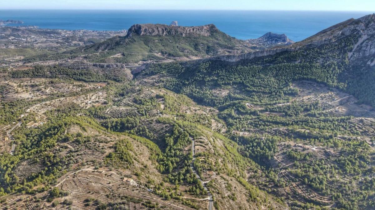 Land for sale in Jalón, Alicante photo 5