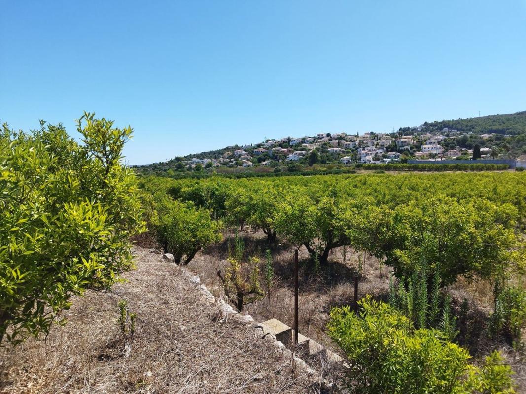 Terreno en venta en Orba, Alicante photo 1