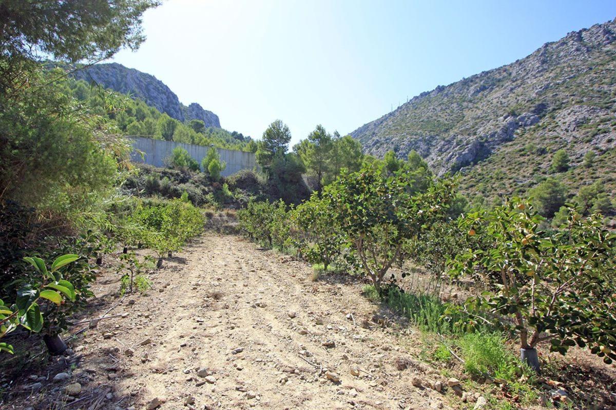 Działka na sprzedaż w Beniarbeig, Alicante photo 3