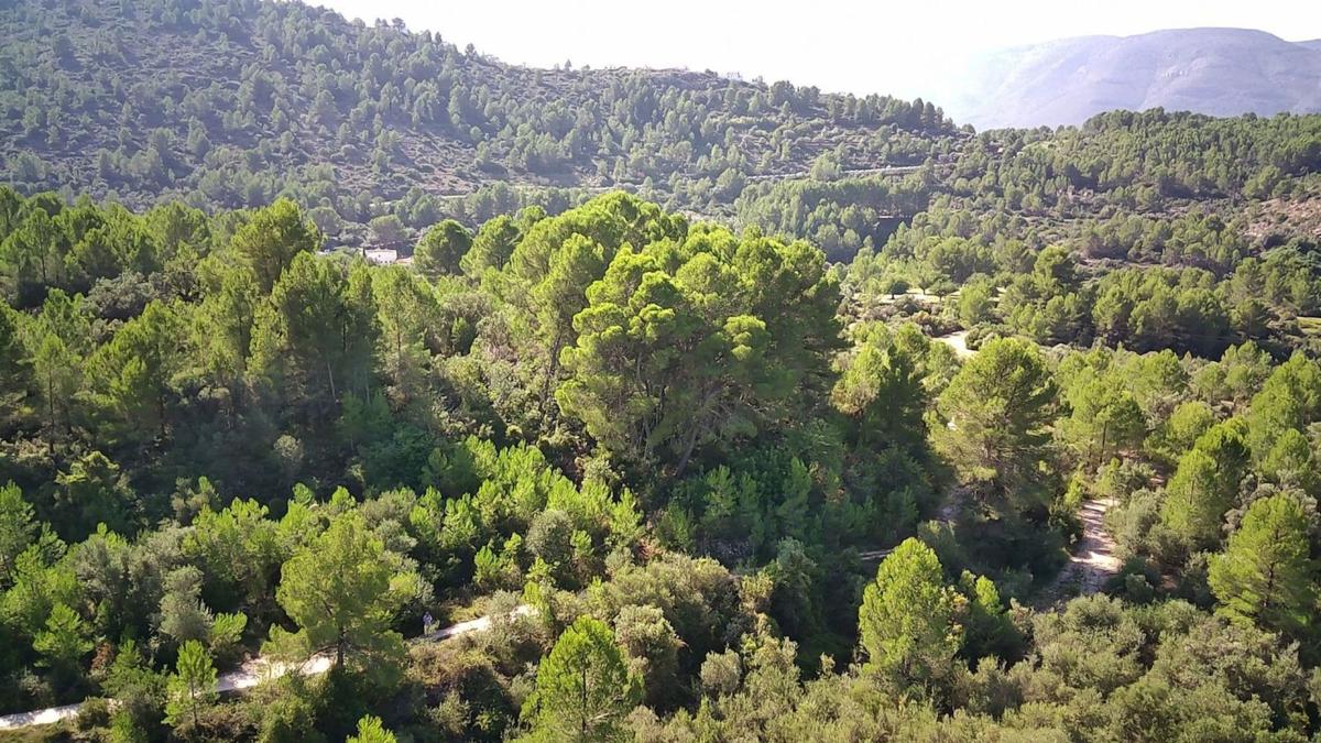 Terreno en venta en Orba, Alicante photo 3