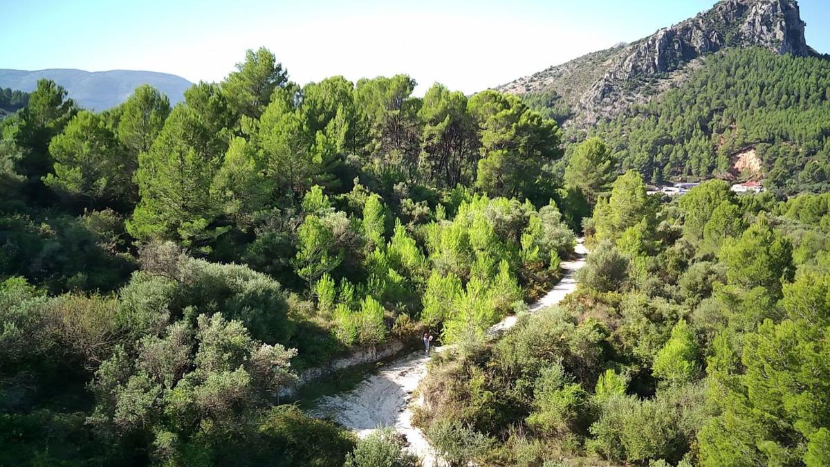 Terreno en venta en Orba, Alicante photo 5