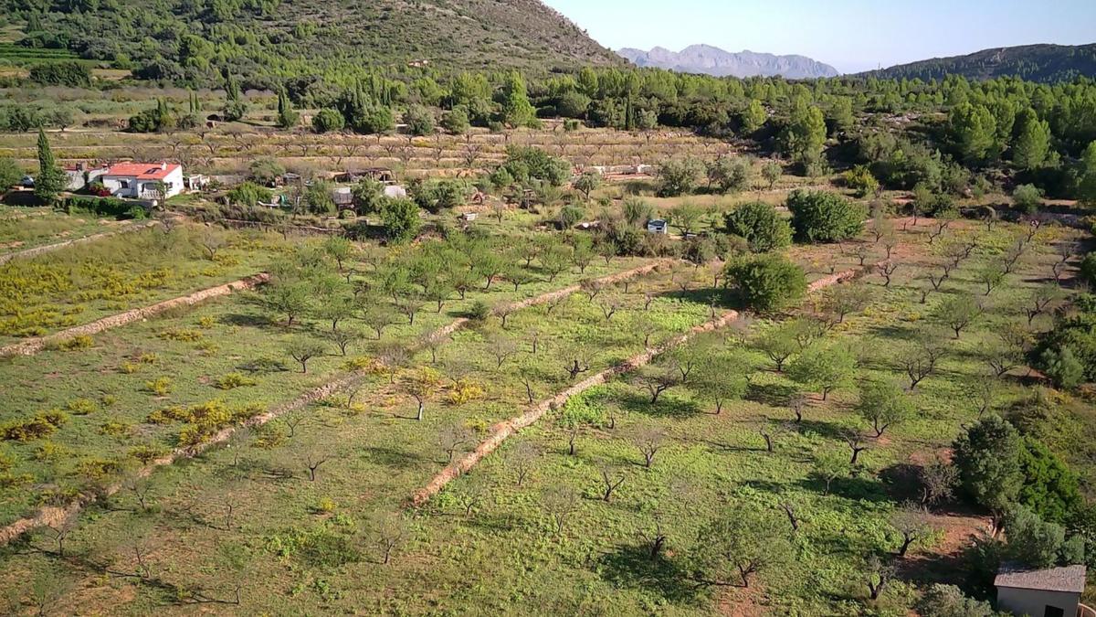 Terreno en venta en Murla, Alicante photo 1