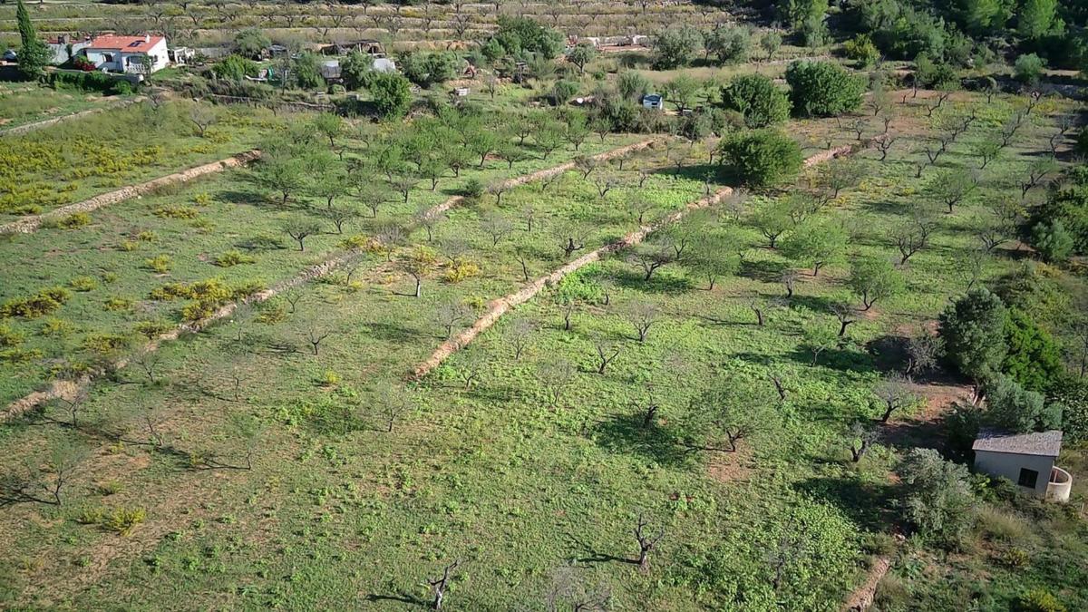 Terreno en venta en Murla, Alicante photo 2