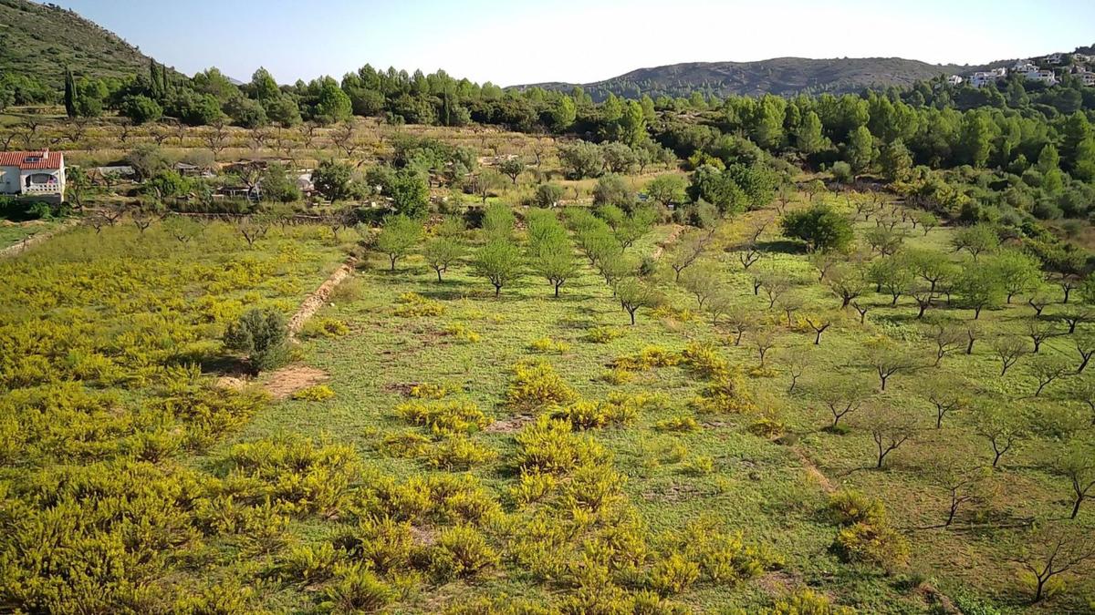 Terreno en venta en Murla, Alicante photo 3