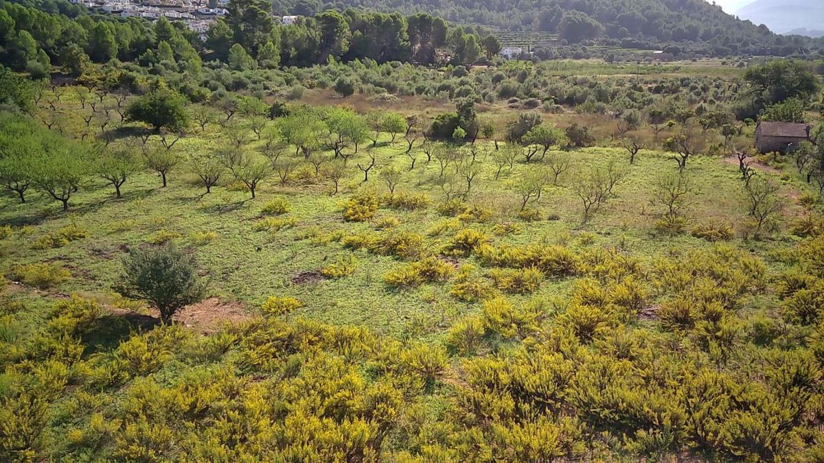 Terreno en venta en Murla, Alicante photo 4
