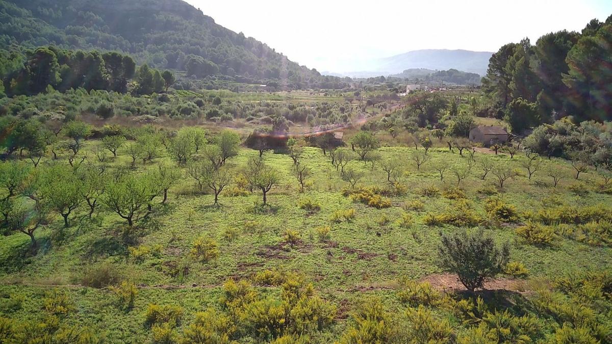 Terreno en venta en Murla, Alicante photo 5