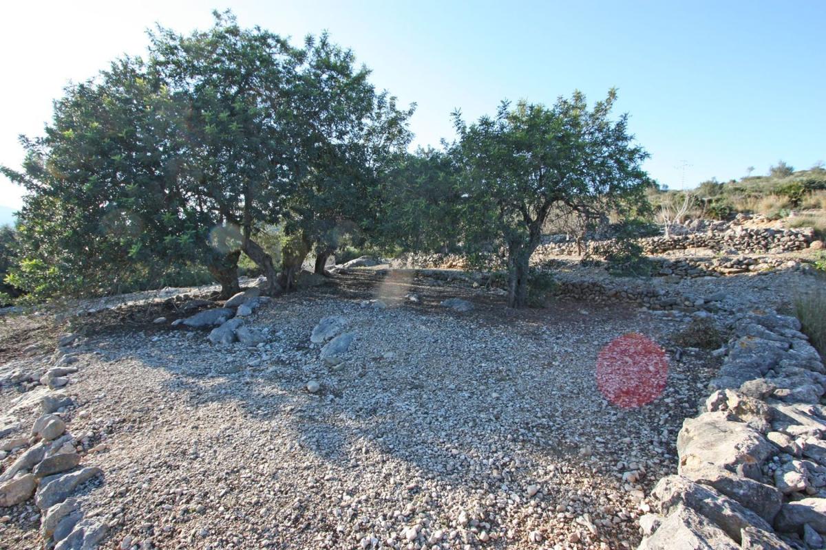 Terreno en venta en Benimeli, Alicante photo 1