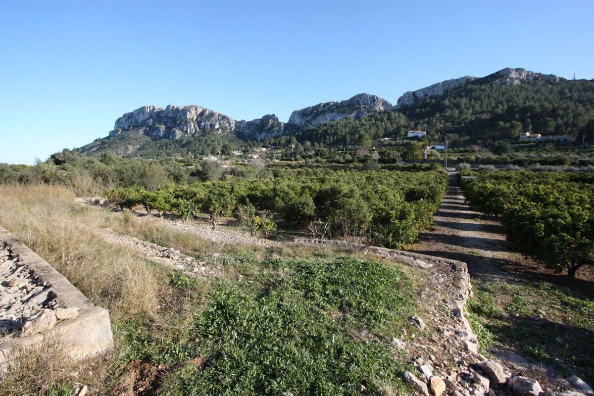 Terreno en venta en Benimeli, Alicante photo 3