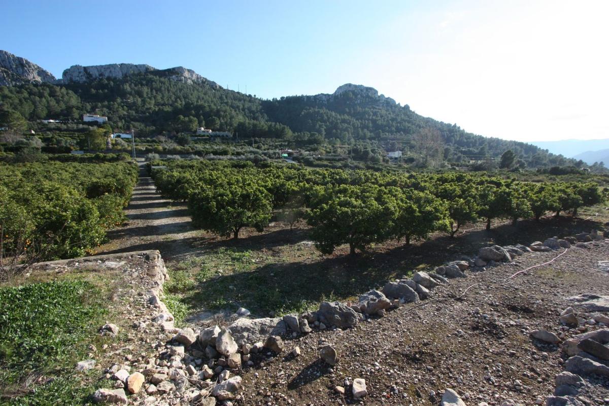 Terreno en venta en Benimeli, Alicante photo 4