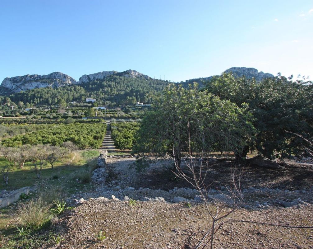 Terreno en venta en Benimeli, Alicante photo 5