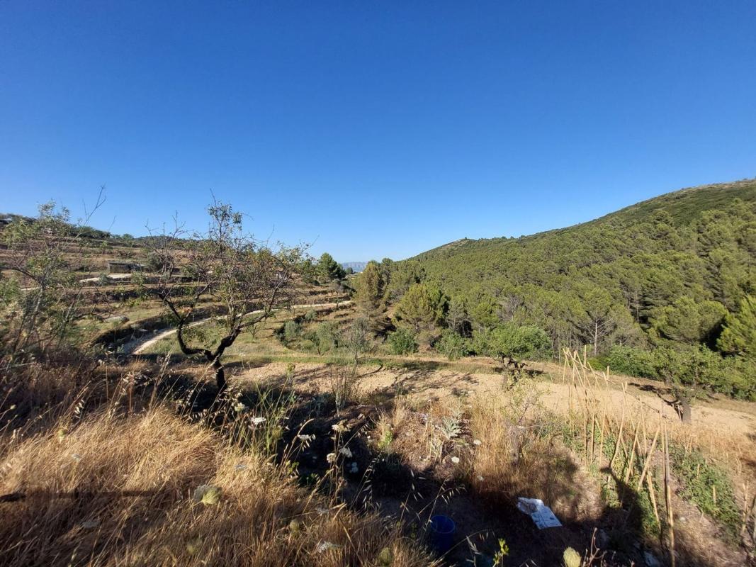 Land for sale in Jalón, Alicante photo 1