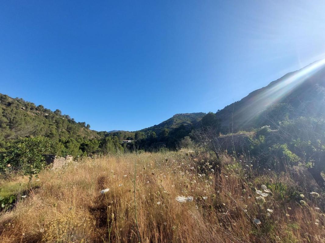 Land for sale in Jalón, Alicante photo 3