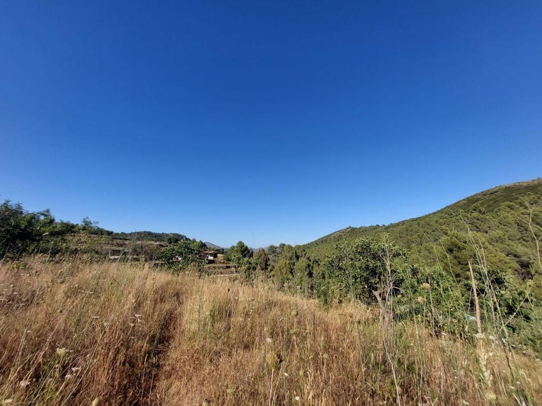 Land for sale in Jalón, Alicante photo 4