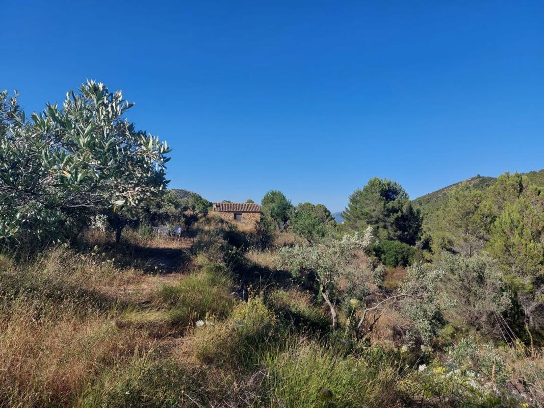 Land for sale in Jalón, Alicante photo 5