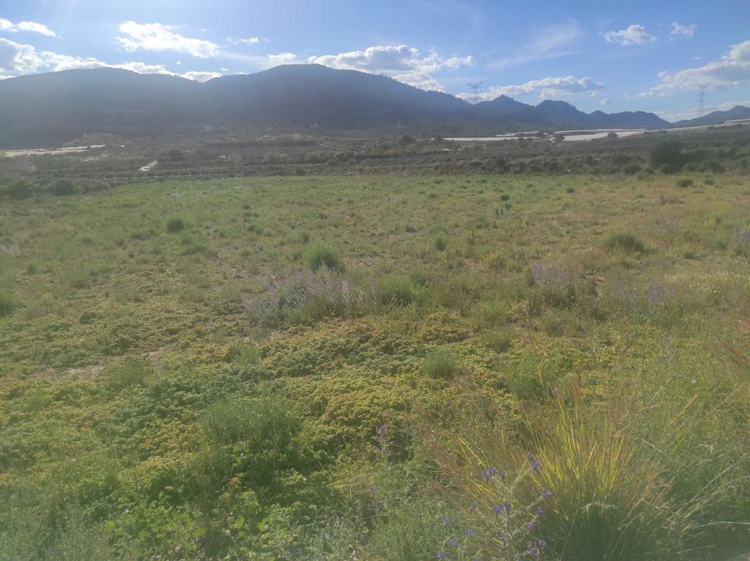 Terreno en venta en Monforte del Cid, Alicante photo 3