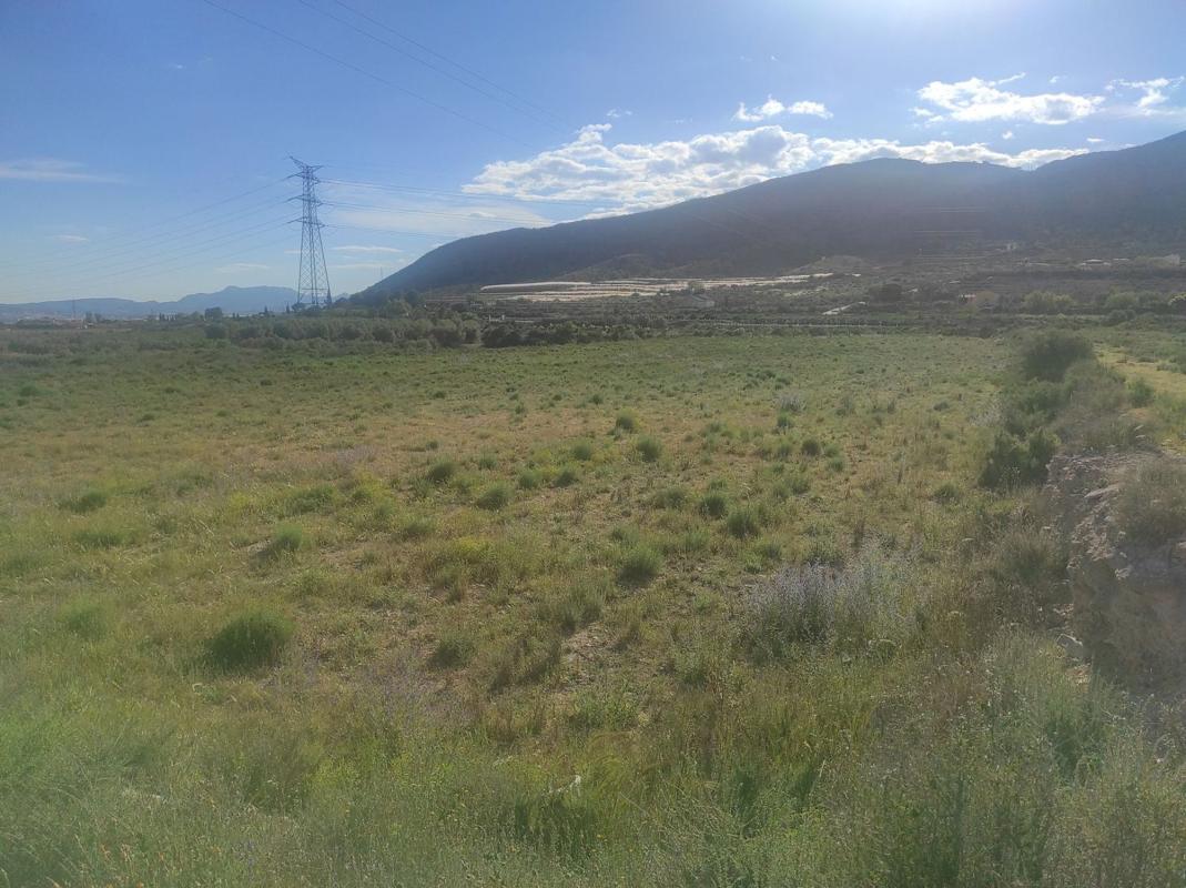 Terreno en venta en Monforte del Cid, Alicante photo 4