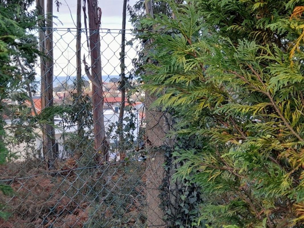 Venta de chalet independiente en Calle Ferrala, Oleiros
photo 4