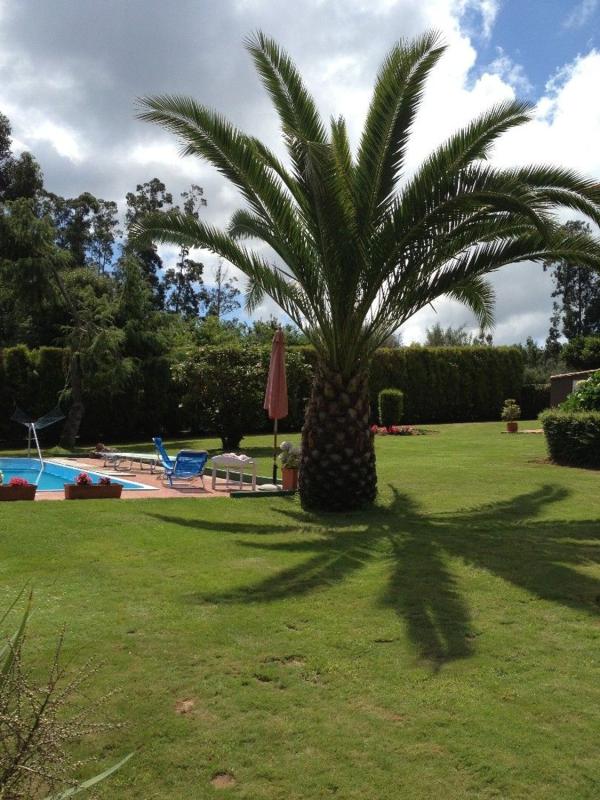 Venta de chalet independiente en Sada, Sada
 photo 2