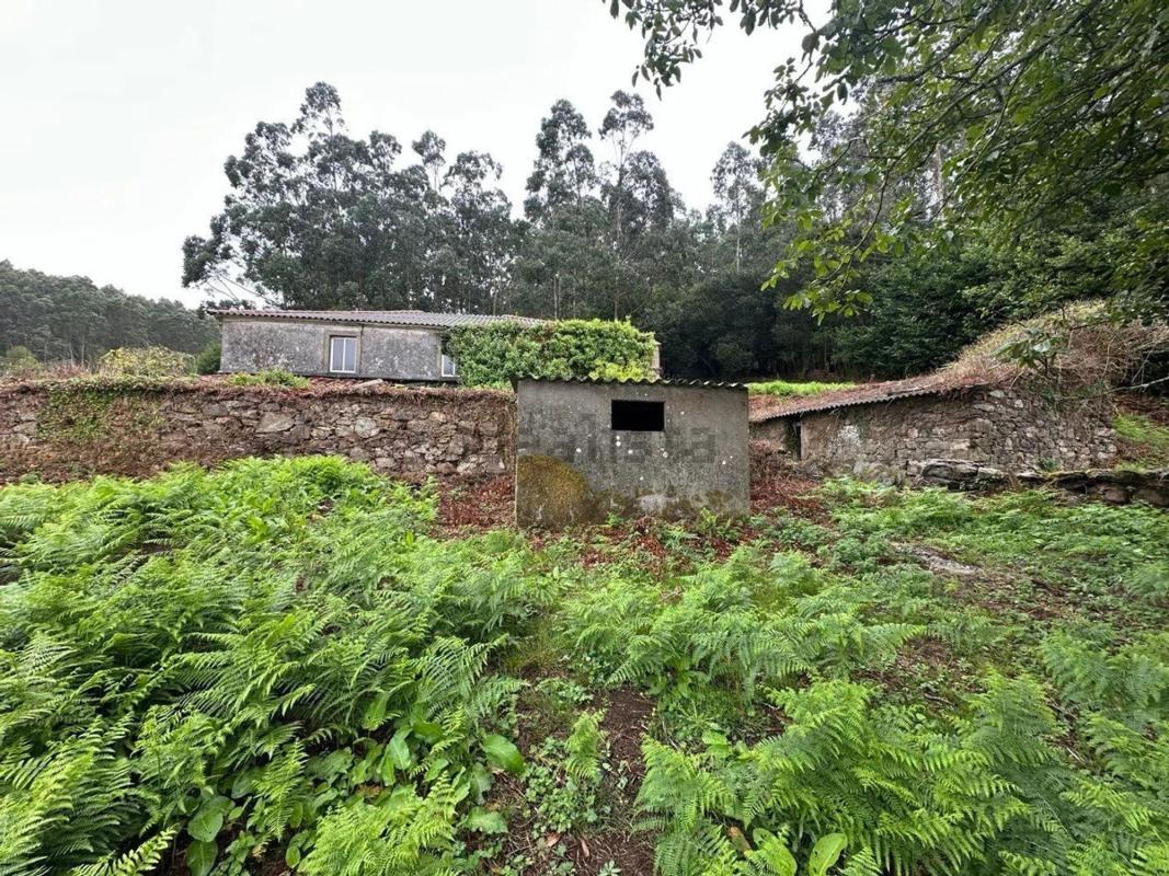 Venta de chalet independiente en Cedeira, Cedeira
photo 1
