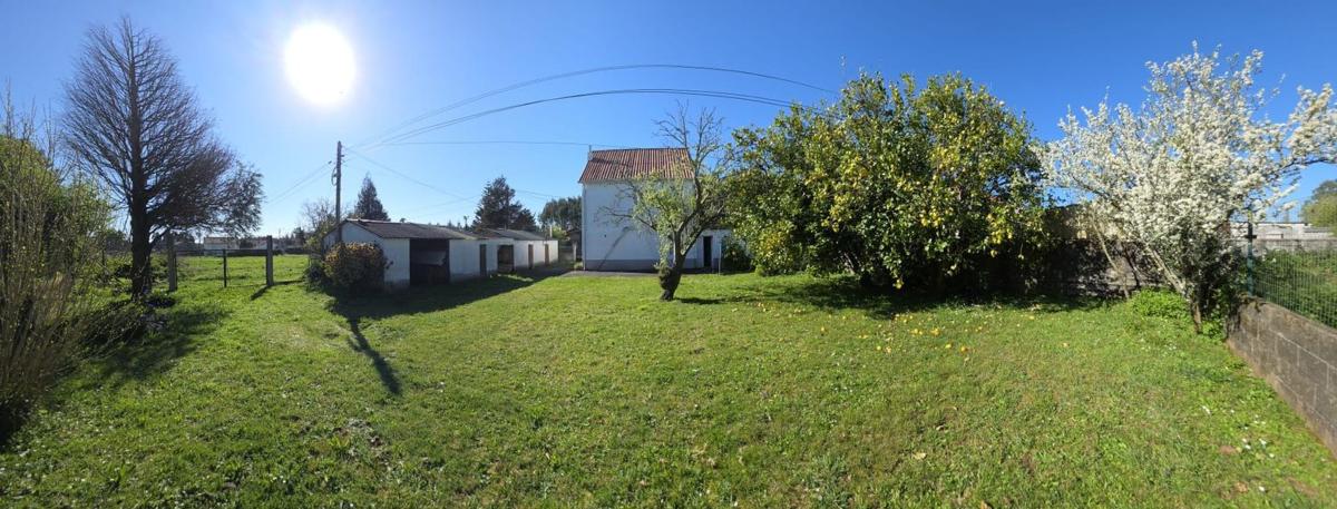 Properties for sale and rent in Spain photo 2