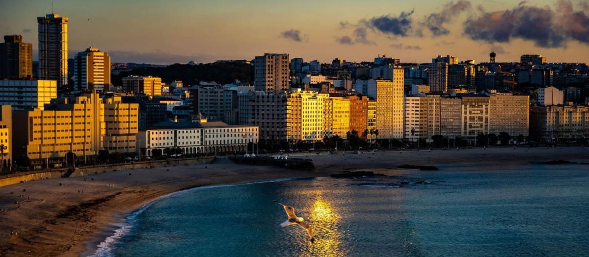 Properties for sale and rent in Spain photo 5