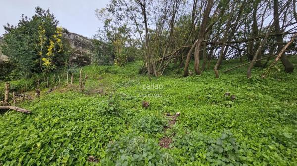 Casa independiente photo 1