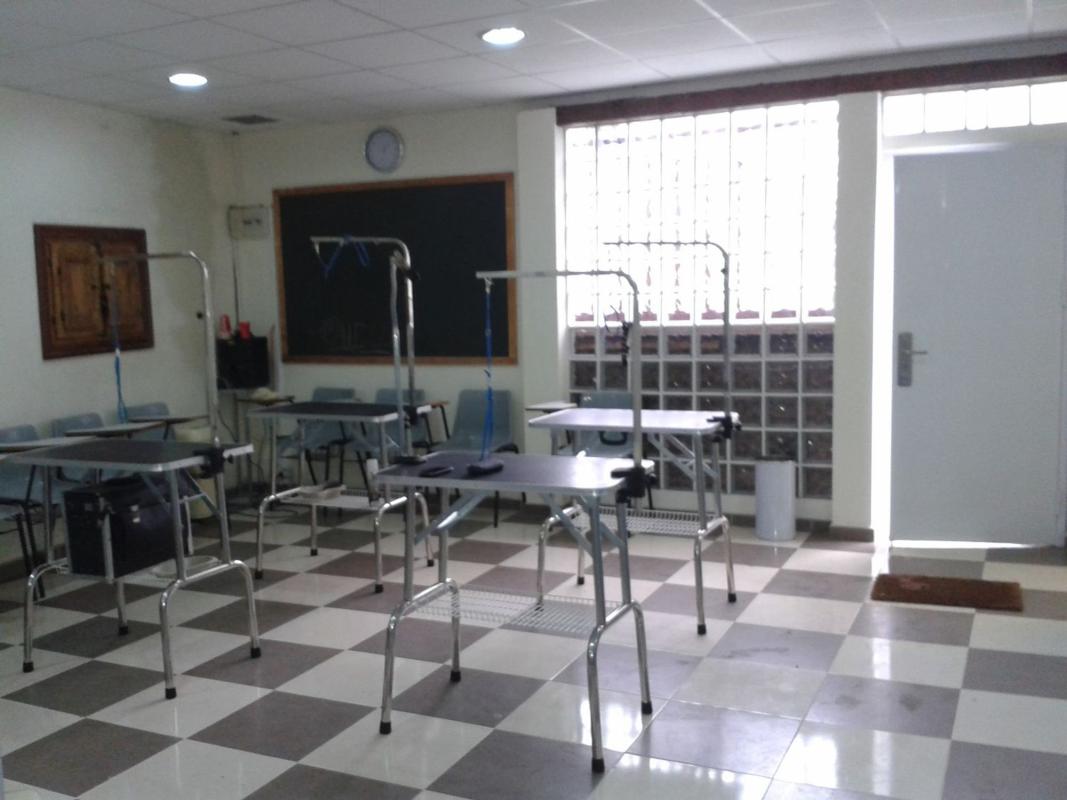 Propiedades en venta y alquiler en España photo 1