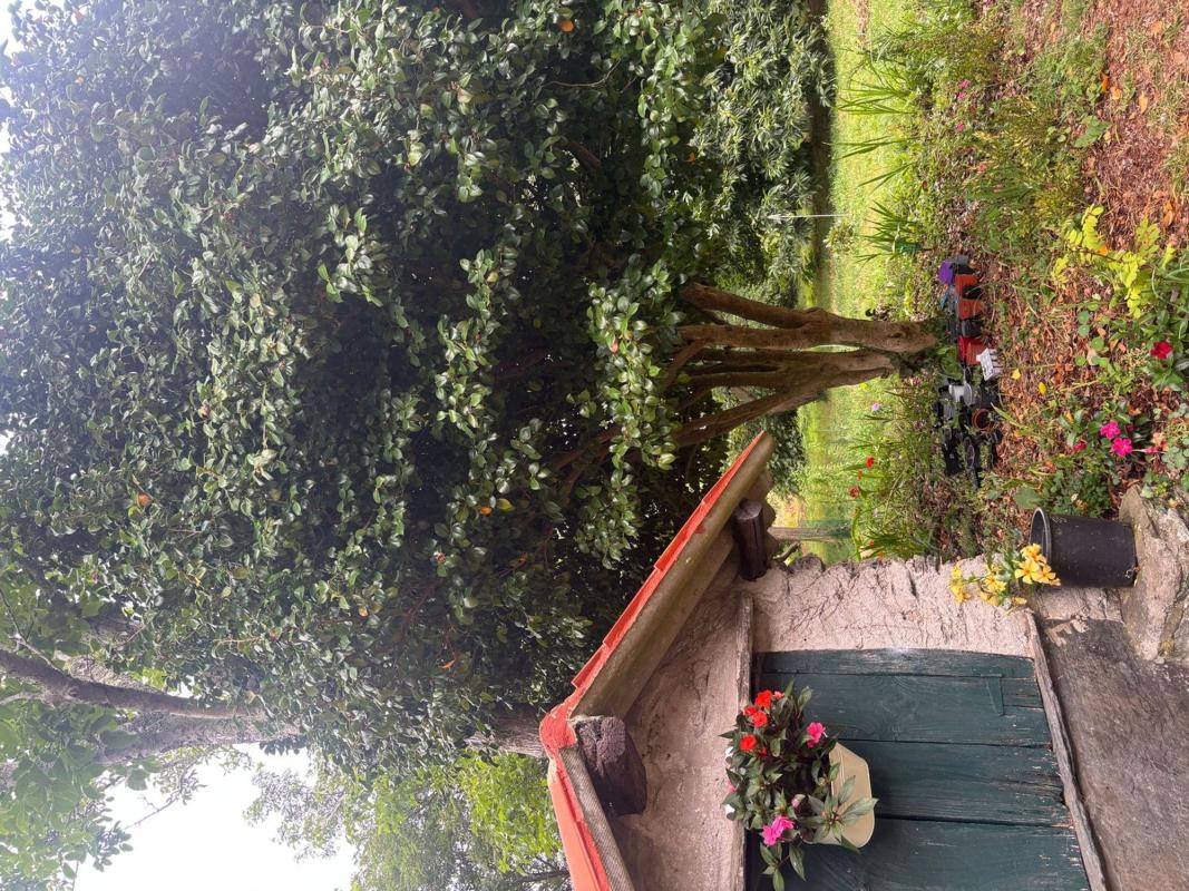 Venta de chalet independiente en Lugar Tuimil, 22, Valdoviño
photo 4