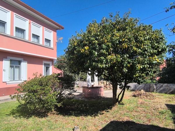 Casa independiente photo 4