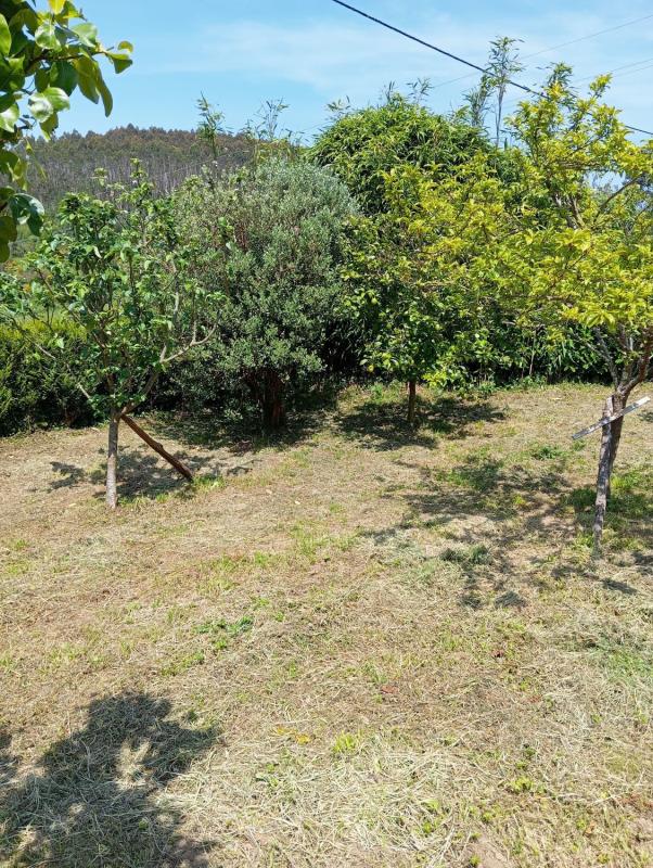 Venta de chalet independiente en Lugar A Panda, 6, Moeche
photo 3