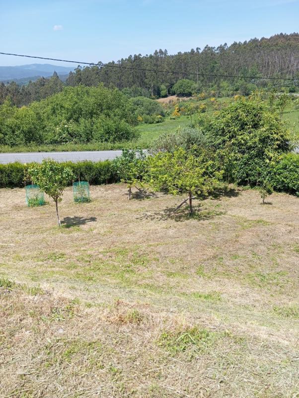 Venta de chalet independiente en Lugar A Panda, 6, Moeche
photo 4