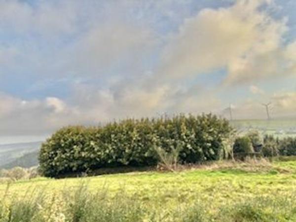 Casa rural thumbnail 1