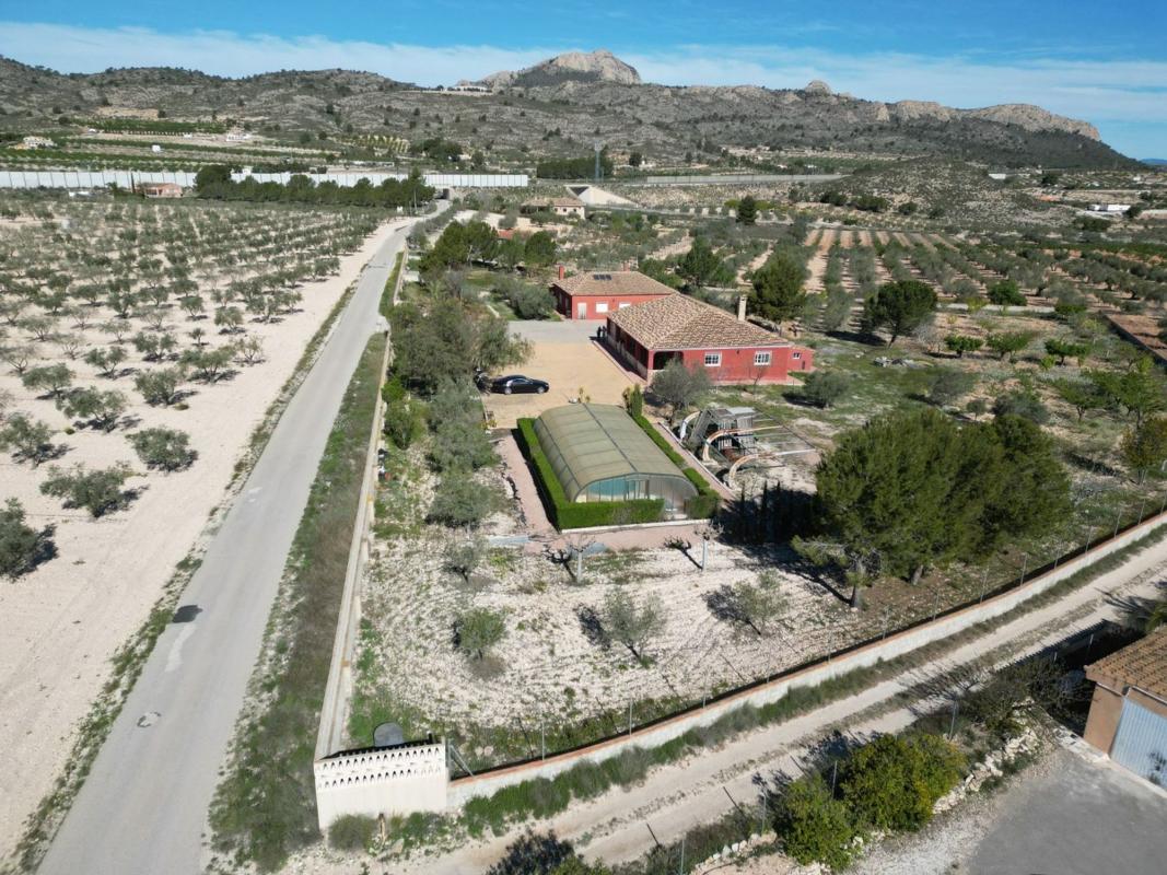Sale of independent chalet in PARTIDA 9, 397, Sax
photo 2