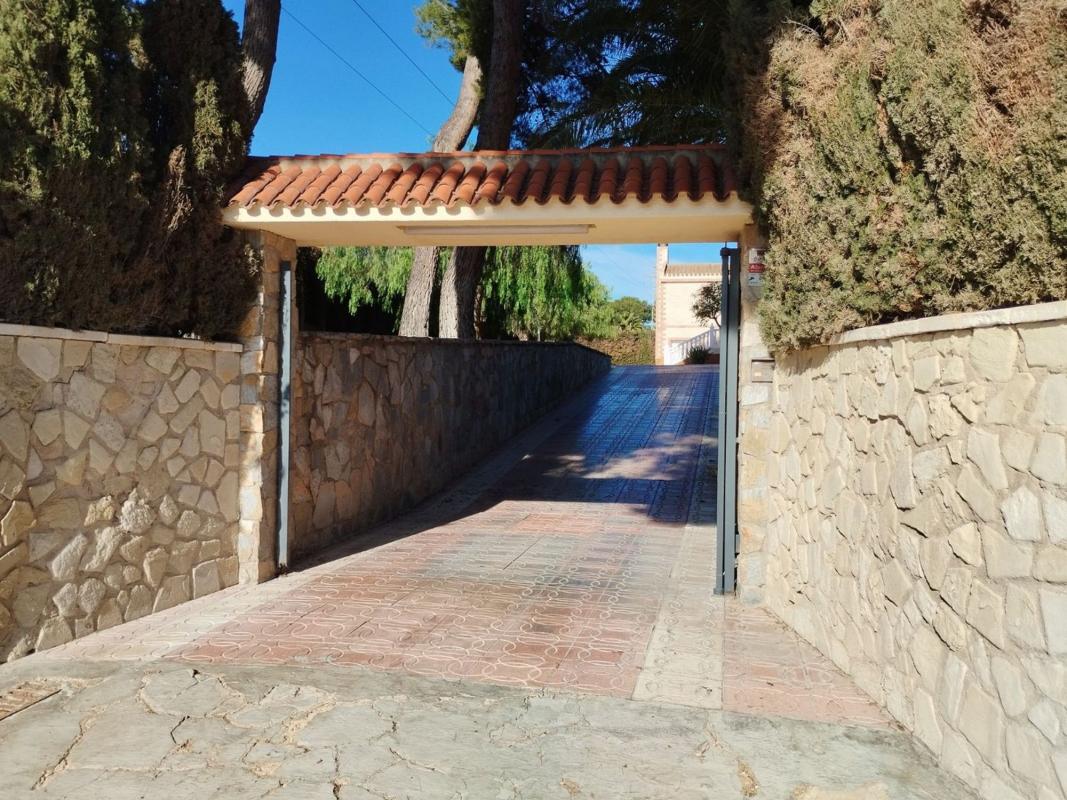 Sale of rural property in Partida Zapatera , Sax photo 5