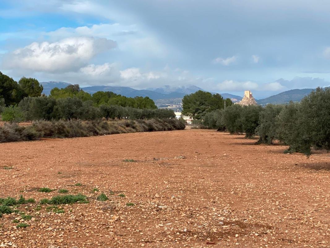 Sale of rural property in Cv-830 , Sax photo 2