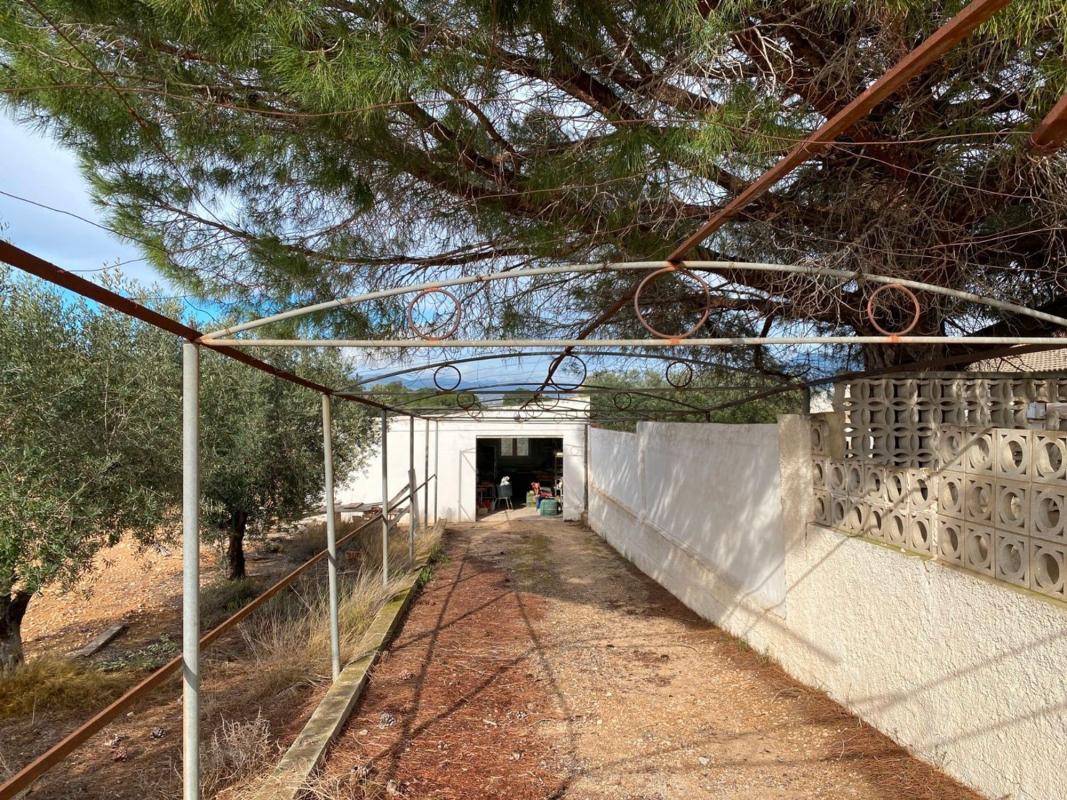 Sale of rural property in Cv-830 , Sax photo 3