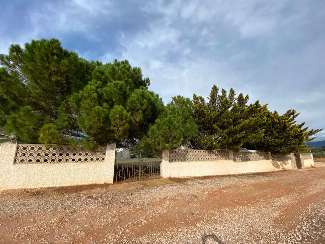 Sale of rural property in Cv-830 , Sax photo 4