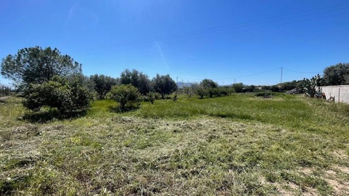 Venta de finca rústica en Camino de San Cayetano, 67 , Albatera photo 4