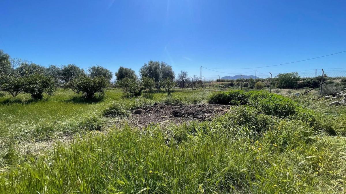 Venta de finca rústica en Camino de San Cayetano, 67 , Albatera photo 5