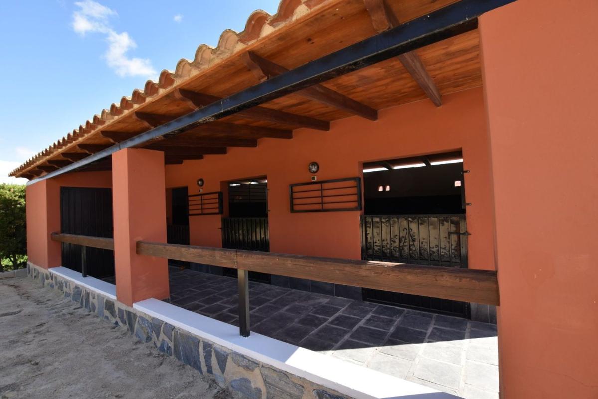 Venta de chalet independiente en Calle Azarbe de Abanilla, Almoradí
 photo 4