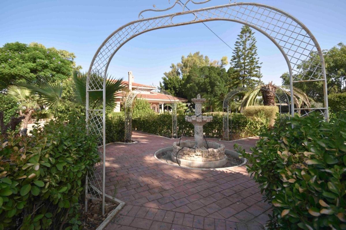 Venta de chalet independiente en N-340, Callosa de Segura
photo 5