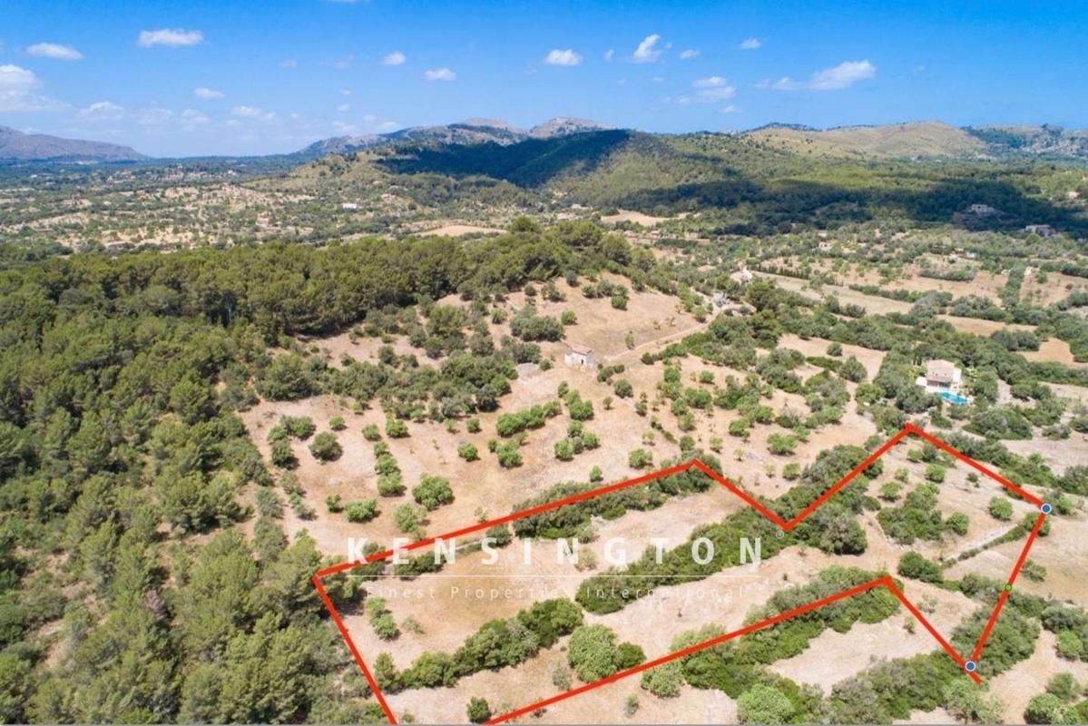 Obra nueva Finca en Artà en Arta (Revista) photo 5
