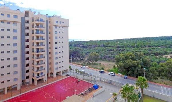 Venta de piso en Calle Basilio Paredes, 15, Guardamar del Segura
photo 1
