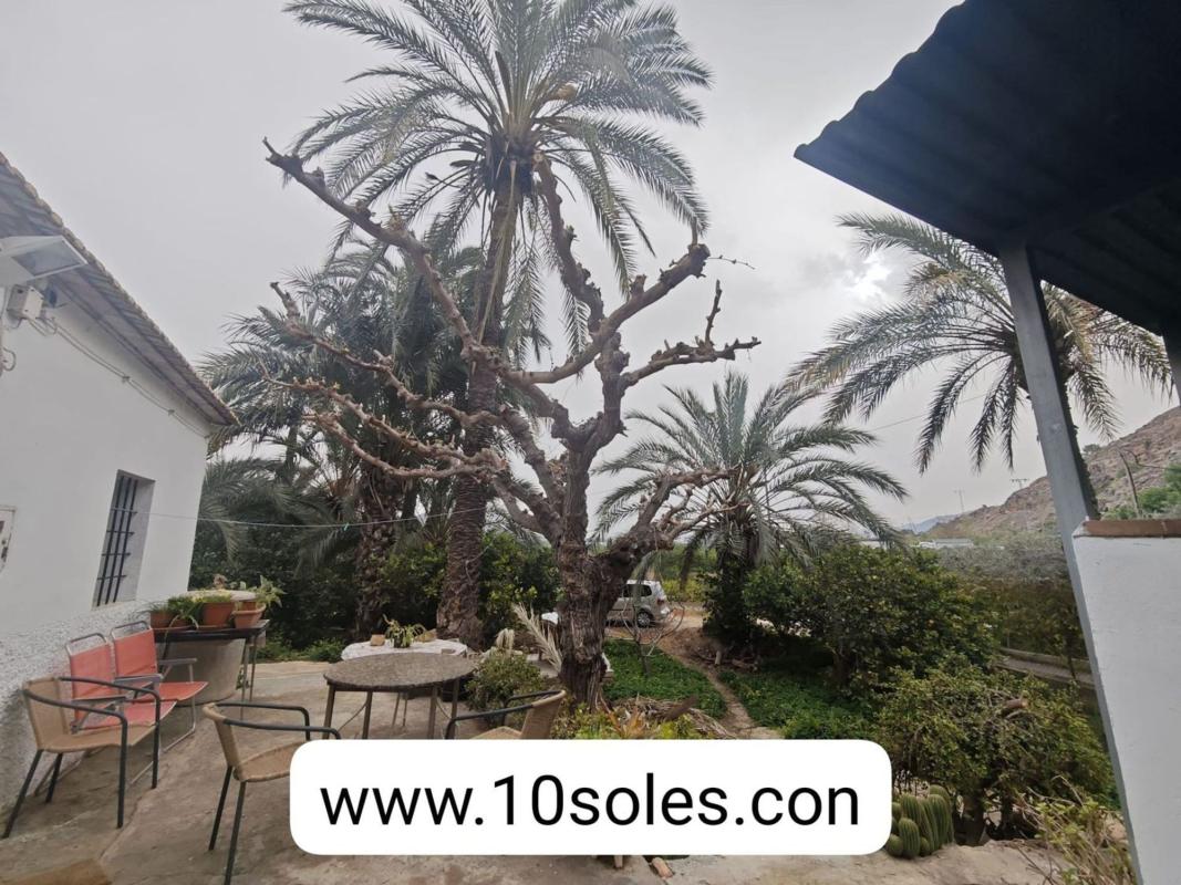 Venta de chalet independiente en Montepinar-La Aparecida-Raiguero, Orihuela
 photo 4