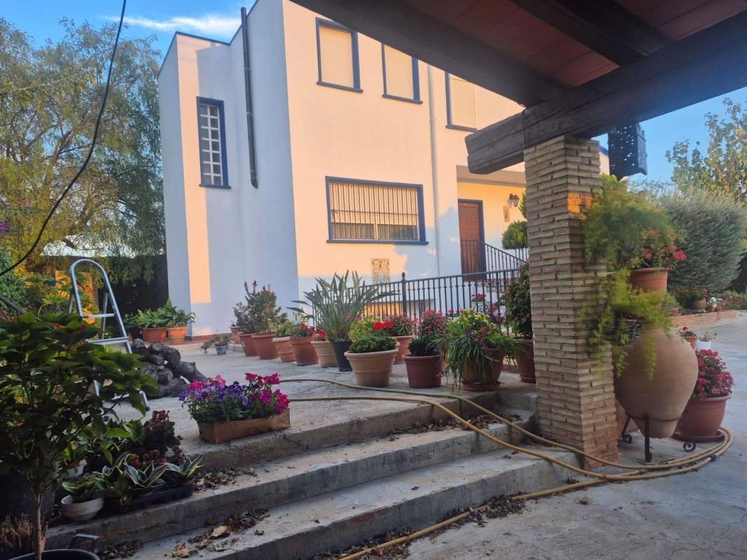 Venta de finca rústica en  Orihuela Ciudad , Orihuela photo 2