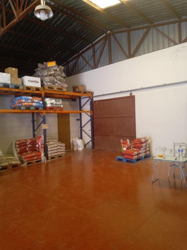 Propiedades en venta y alquiler en España photo 4