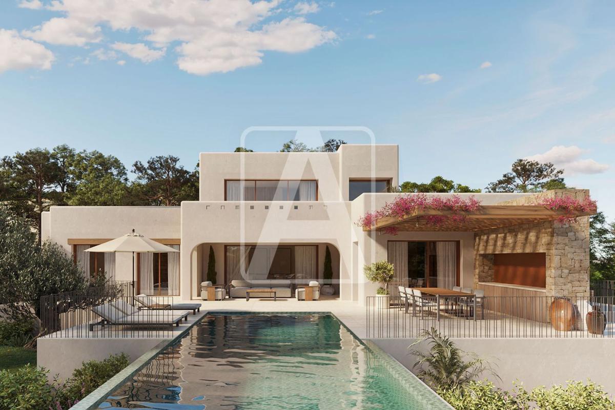 Villa Buena Vista