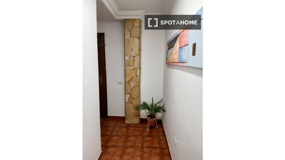 Apartment rental in , Santa Cruz de Tenerife photo 2