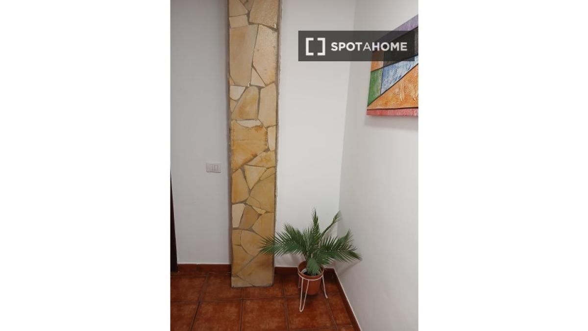 Apartment rental in , Santa Cruz de Tenerife photo 3