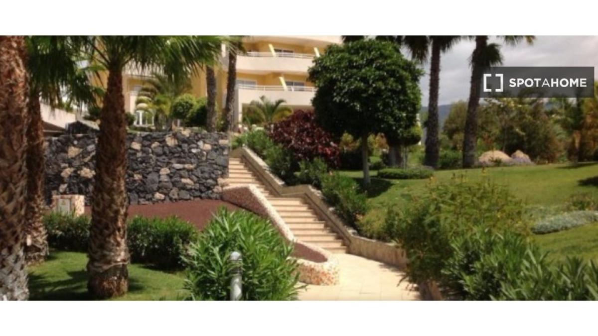 Properties for sale and rent in Spain photo 3